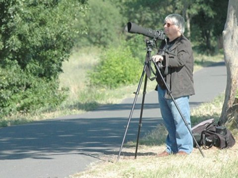 Cigognes à Portiragnes 2011