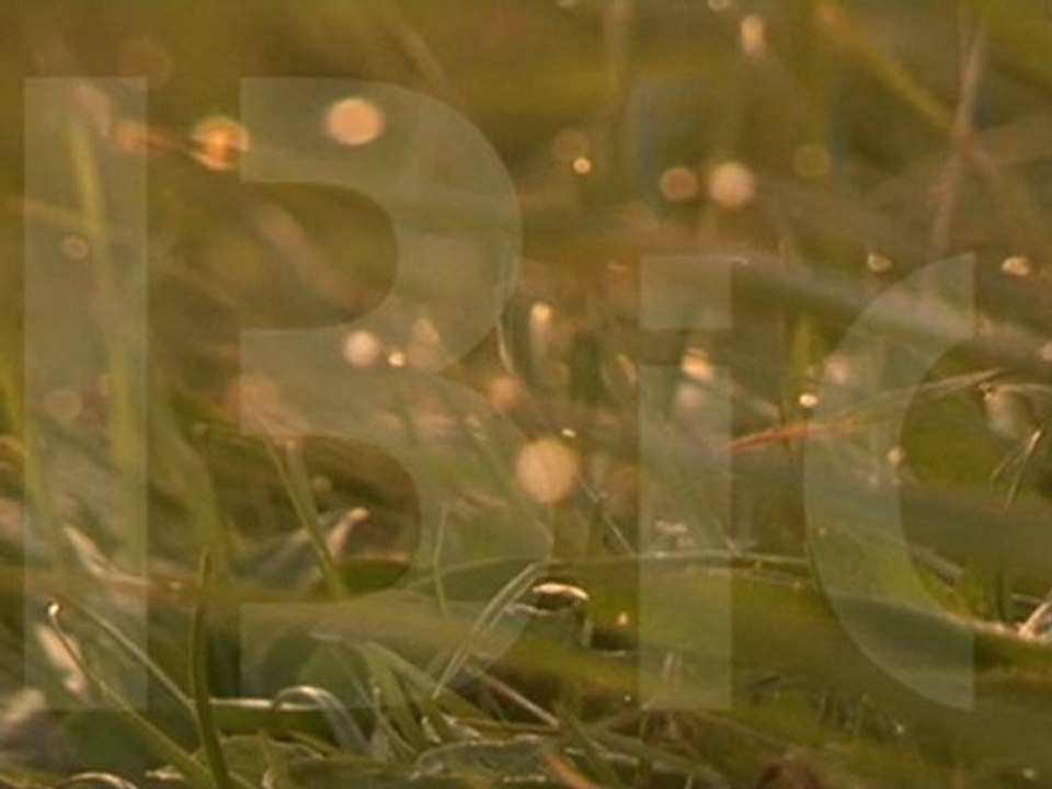 Goldener Herbst 2011