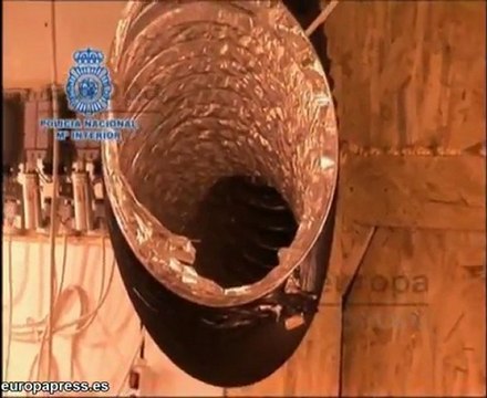 9 detenidos en Barcelona por cultivo de marihuana