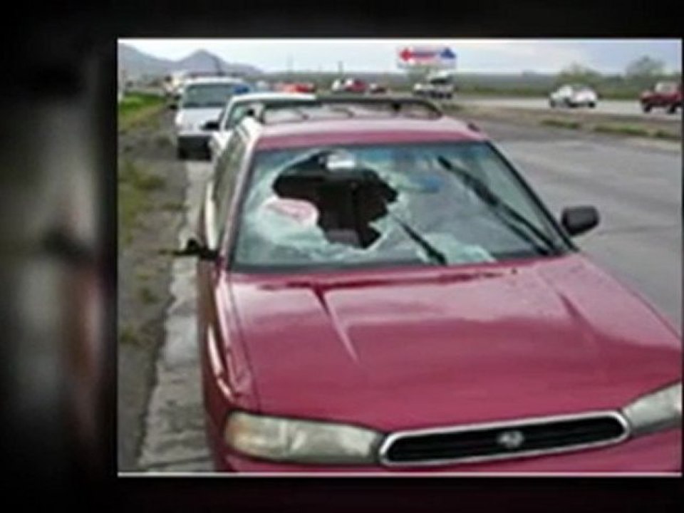 windshield replacement 65446