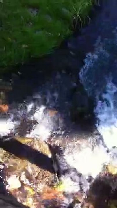 Relax cours d'eau écoulement zen détente relaxation méditation Auvergne Issoire 63