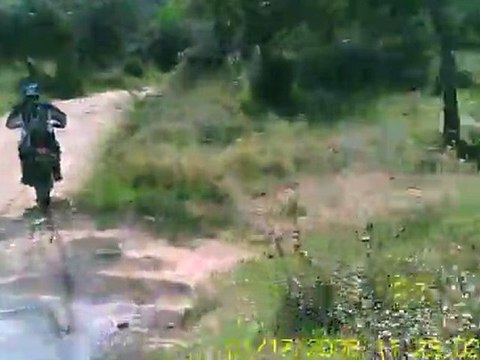 gas gas 250 wrf 450 quad 250