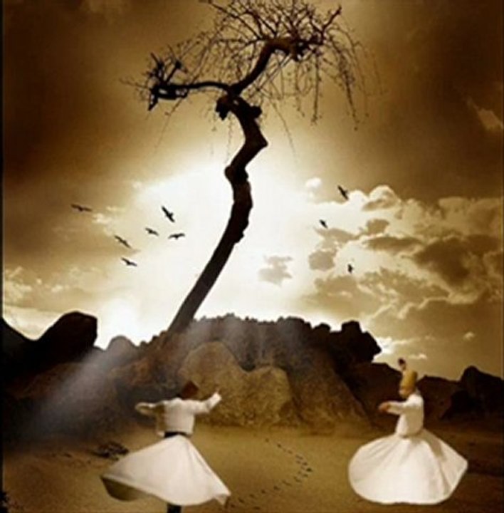 Demedim mi (Hz Mevlana)