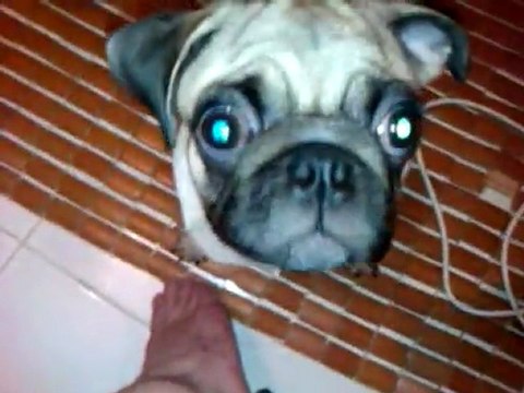 一同生活,一同遊戲