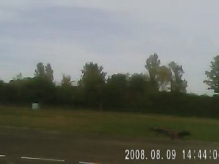 F117 vol au terrain de jonage