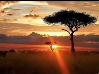 Barry White & Lucciano Pavarotti - (Mustafa Dinç)