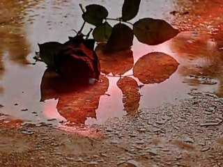 {[SaMi ]} Gönül Kahraman {[SaMi]} Şafak Söktü Yine Sunam