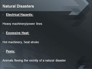 Natural Disaster Safety on Construction Sites