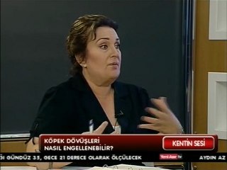 HAYTAP EGE SORUMLUSU FUNDA ERSOY-ESİN SAYIN -2.BÖLÜM