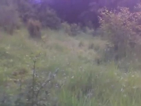 Hermosos Lotes de Terreno en Tegucigalpa