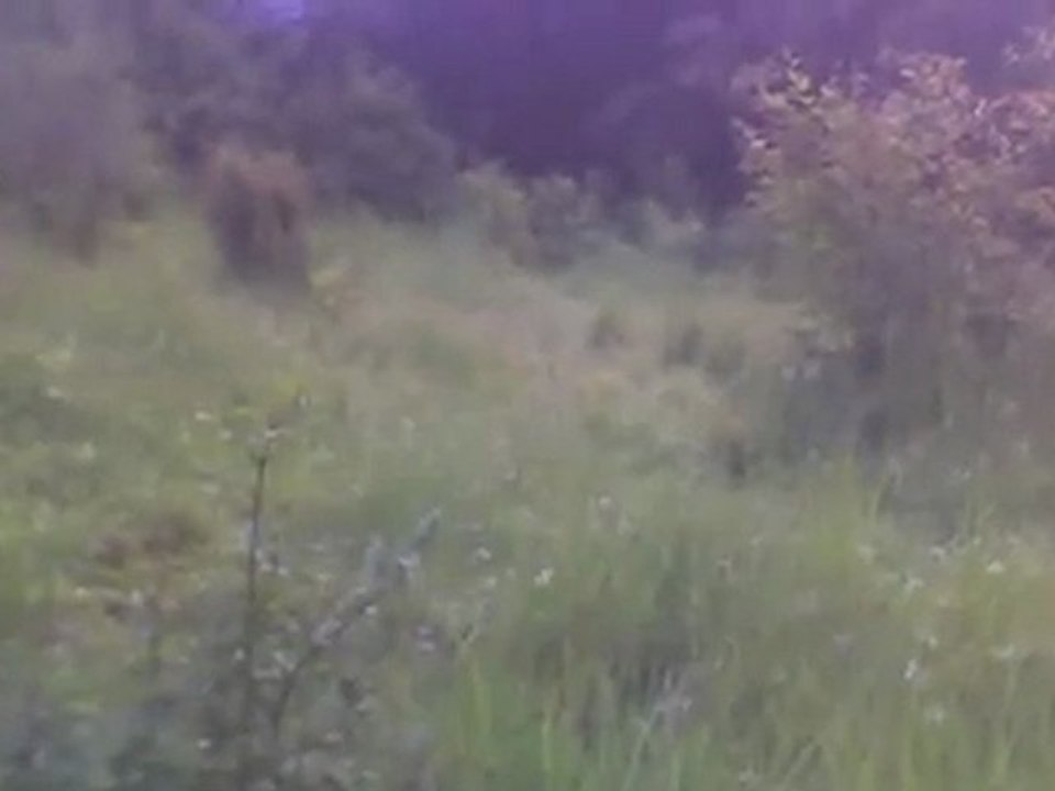 Hermosos Lotes de Terreno en Tegucigalpa