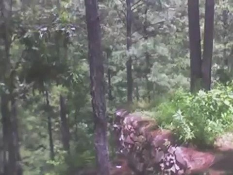 Hermosos Lotes de Terreno en Tegucigalpa