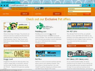 Pet Bloggers Start Monetizing Your Efforts