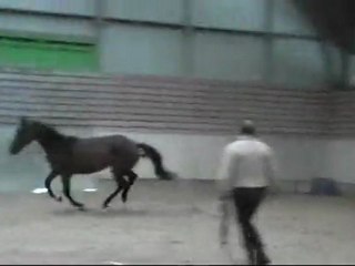 saut en liberté 2ans 2011