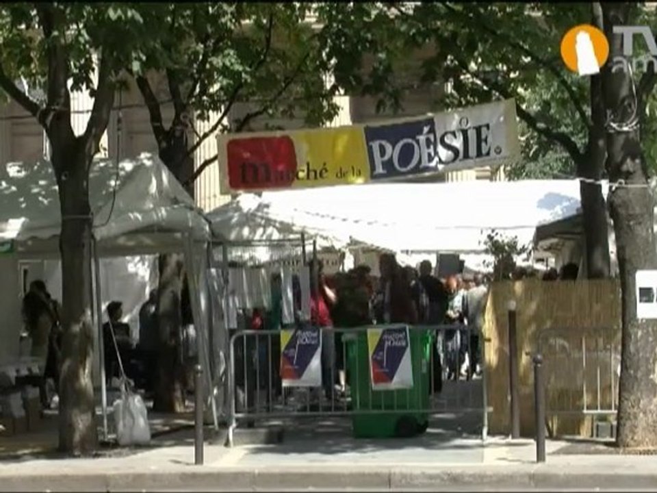 Des Livres & Nous : Marché de la Poésie et RDV BD d'Amiens