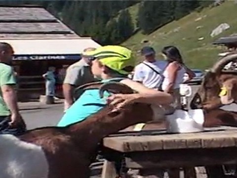 Le Multipass : L'accès aux activités des stations des Portes du Soleil pour 1 €