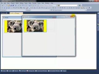 visual studio 2010 kontroller ve ozellikleri