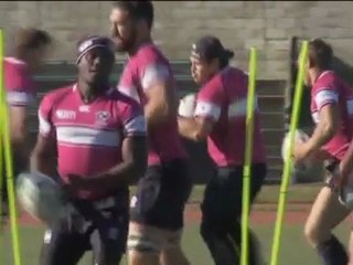 Australia a caccia di conferme con le Aquile