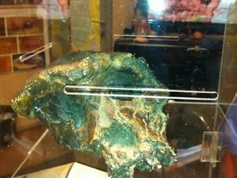 Exclu Impact Kamite : Toumaï Notre Ancêtre Kamite de 7 000 000 d'années. du lourd