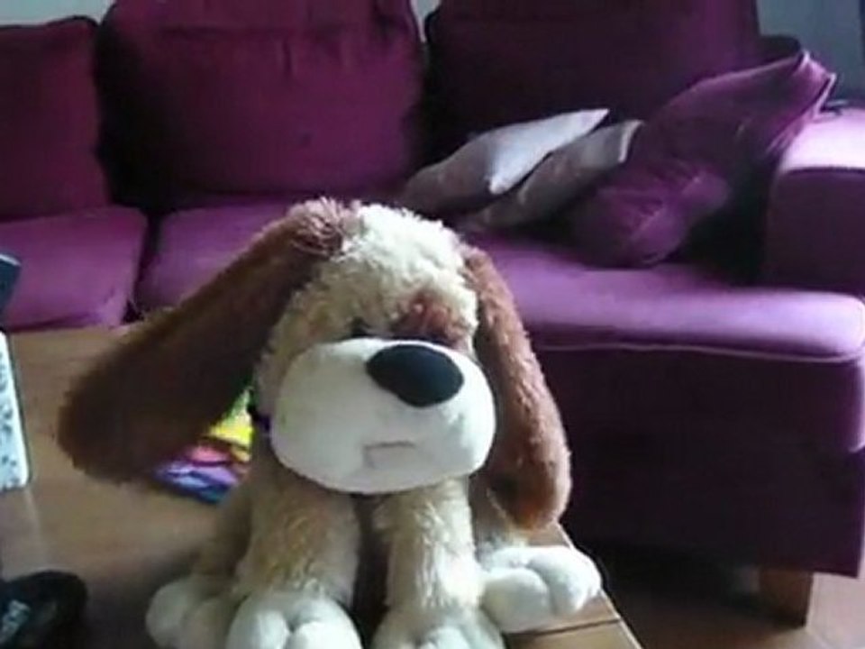 SAM_0813