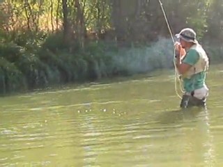 fly fishing tatlı su kefal avı ( uçurma balıkçılığı)
