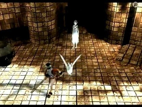 Classics HD: ICO & Shadow of the Colossus, Vídeo Análisis (PS3)