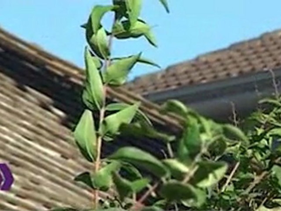 Portrait de la Fondation Petitmaître à Yverdon-les-Bains