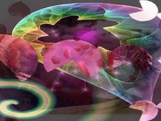 Caminito-Xavier Sainty