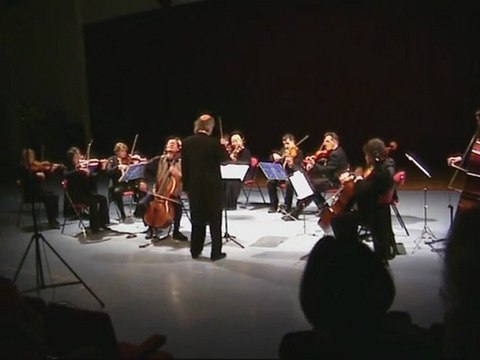 adagio concerto haydn en do majeur pierre gasser