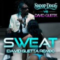David Guetta & Snoop Dogg vs. Madonna - Wet Like A Prayer (Benedetto´s Sticky & Sweet Bootleg)