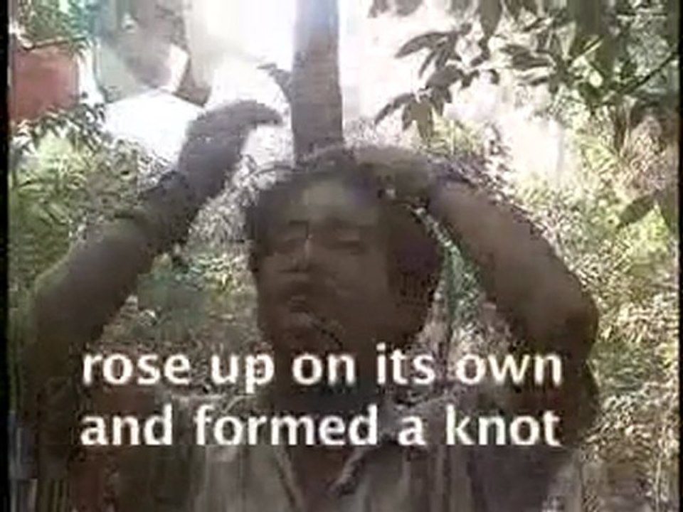 Rare clear view of Nepal Buddha Boy with interviews