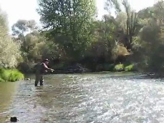 Birol fly fishing tatlı su kefal avı