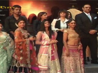 India Bridal Week 2011 Press Conference