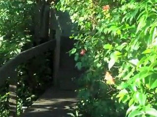 USVI Eco Cottages located on WATER ISLAND, St. Thomas VIRGIN ISLANDS.mov