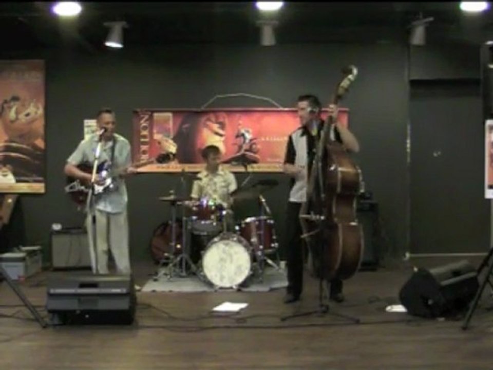 dalann fly cats