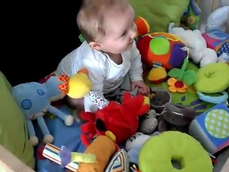 Robin se tient assis