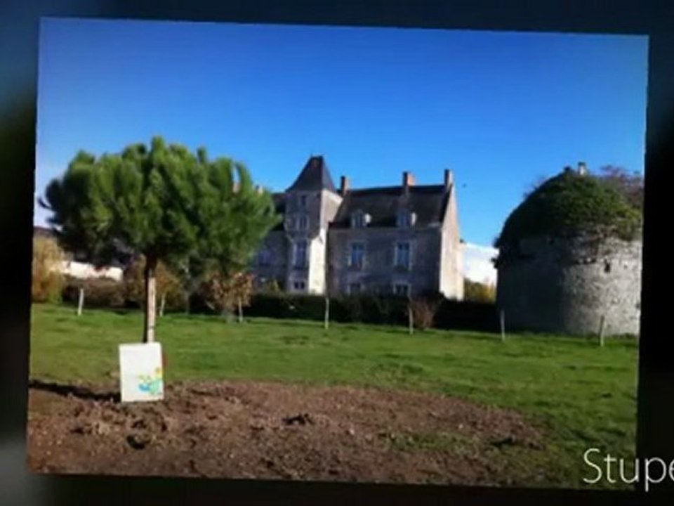 Nantes - Vente Château - Sud Loire 44 Loire Atlantique