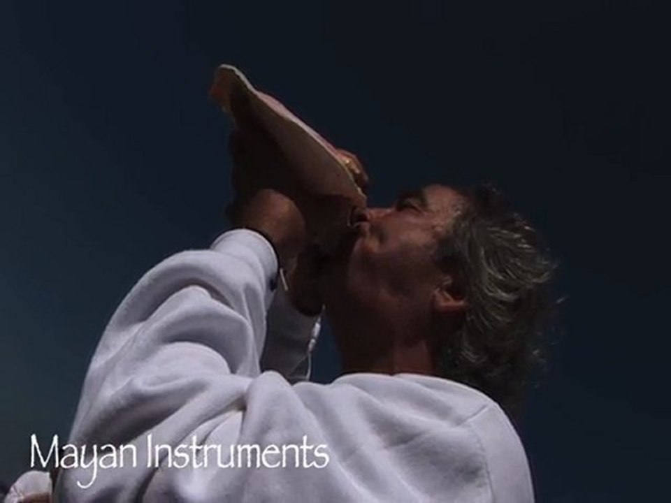 MAYAN INSTRUMENTS THE SHELL by Pablo Arellano