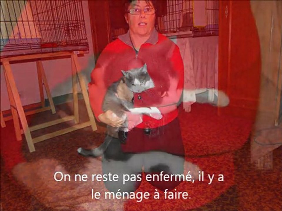 Les  Malheureux des Studios-cages
