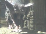 The Last Guardian | TGS 2010 Trailer