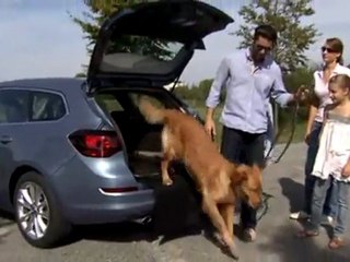 Opel Astra Sports Tourer 2010