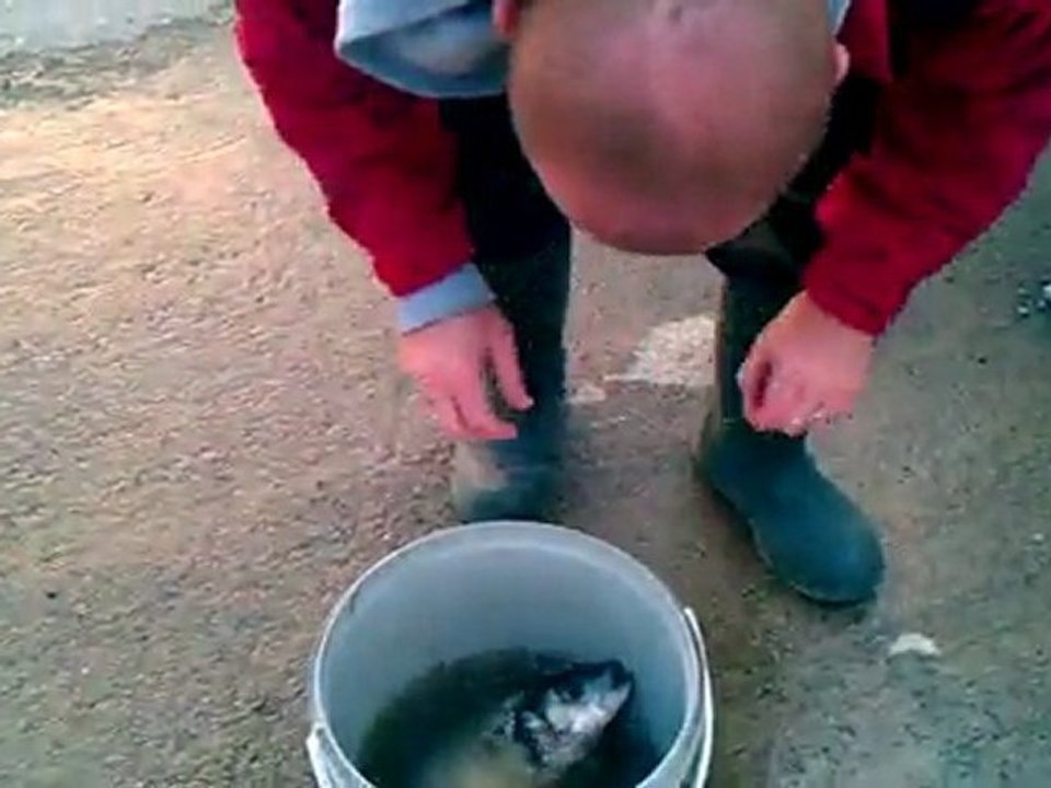 levrek avı 2011
