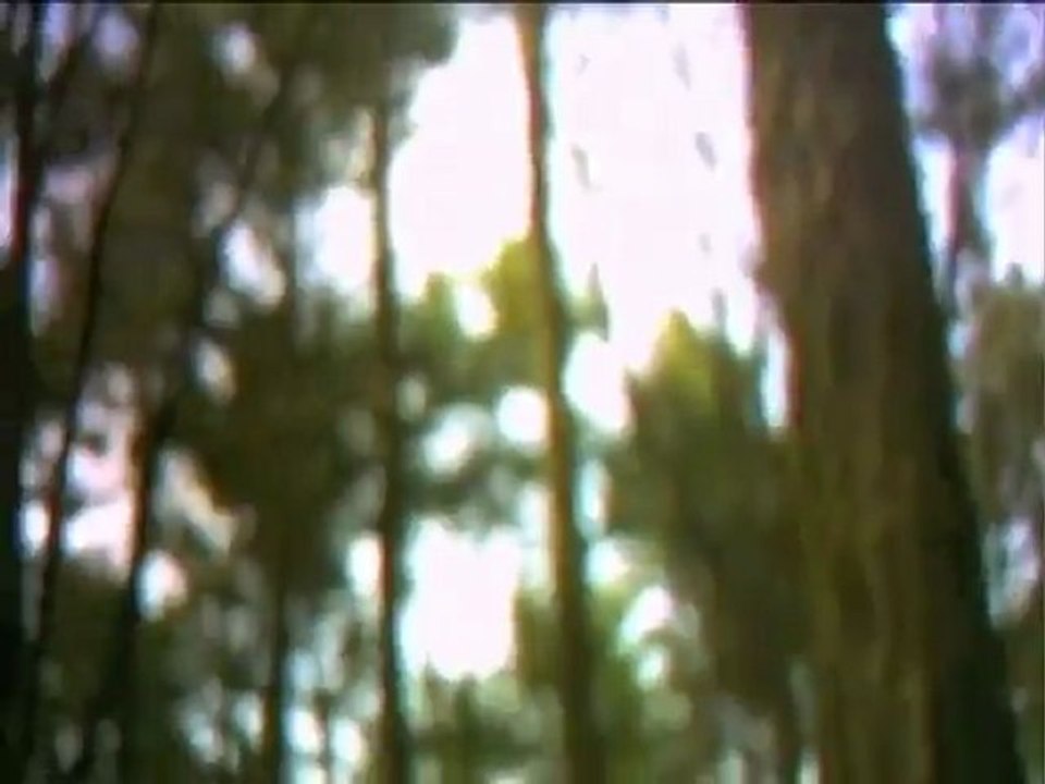 Still Corners - Creatures Of An Hour (Album Trailer Video)