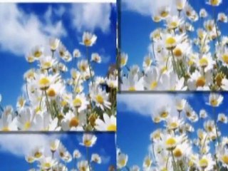 MONDD  MI  AZ  ÉLET