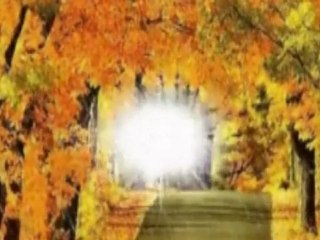 URAM  NEKED  ADOM  SZIVEM-TERMÉSZET