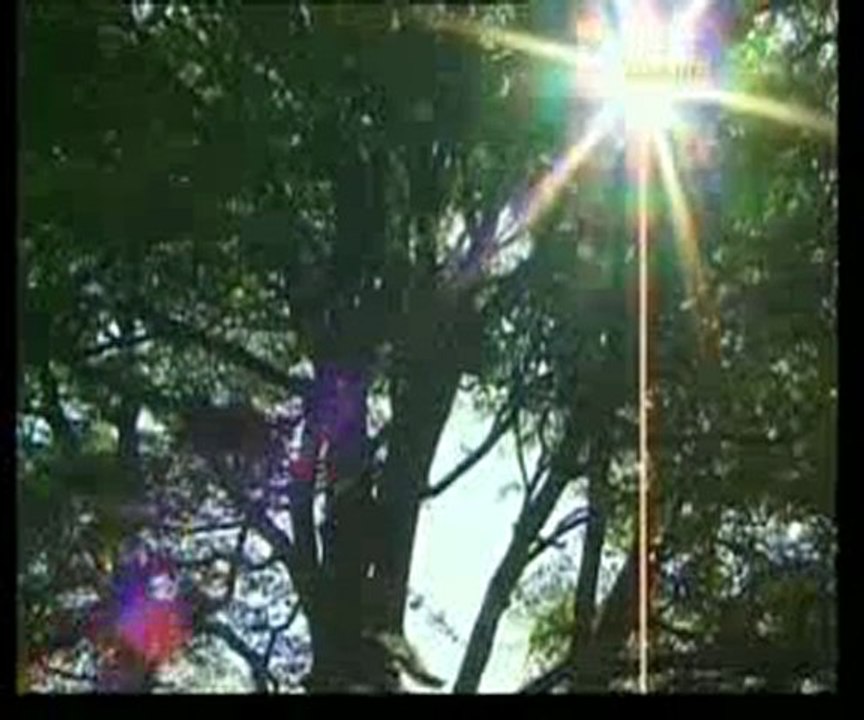 Bitkilerin fabrikasındaki ince detaylar