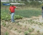 Noticia sobre el I Congreso Centroamericano de Agricultura Orgánica en Televisión Nacional de Honduras