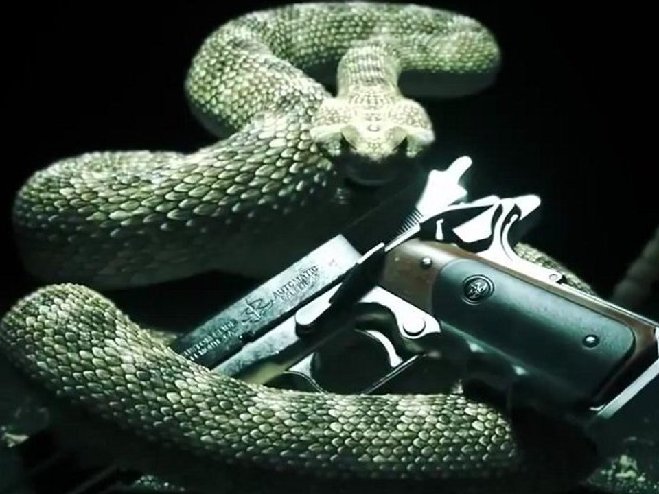 Hitman 5 Absolution   Official Teaser Trailer