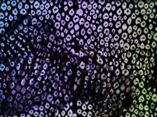 Bataleon Distortia 2012 Snowboards