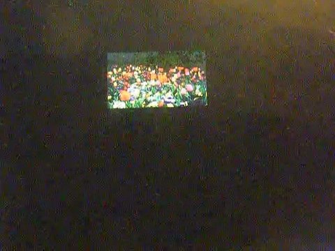 ANA ARIAS SAAVEDRA- SÓLO TE PIDO- CANCIÓN DE MANOLO ESCOBAR